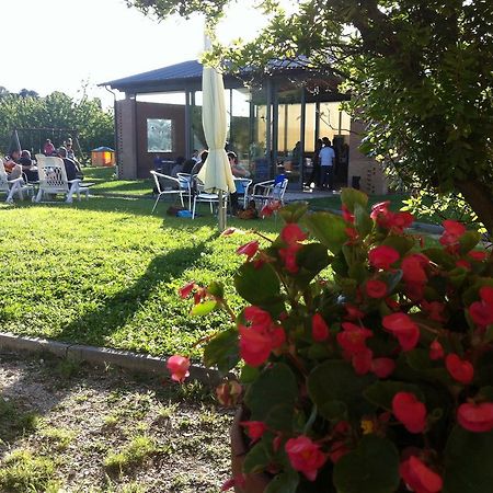 Agriturismo Accipicchia Ancona Eksteriør bilde